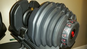 picture of bowflex select tech dumbells